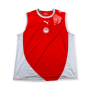 2008-2012 Olympiakos Piräus Trainings Trikot Gr. XL