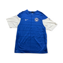 2009-2012 Hertha BSC Berlin Training Trikot Gr. L
